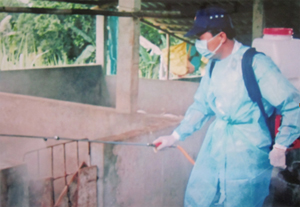 Thú y viên xã Dũng Phong (Cao Phong) tiêu độc, khử trùng chuồng trại có lợn mắc E.coli.