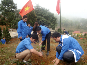 Hưởng ứng tháng thanh niên, đại diện lãnh đạo Tỉnh đoàn cùng ĐVTN trồng cây tại chùa Khánh.