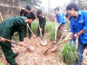 ĐVTN thành phố Hòa Bình tham gia hoạt động điểm trồng cây hưởng ứng “Ngày chủ nhật xanh”.