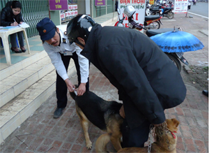 Thành phố Hòa Bình là một trong số những địa phương triển khai sớm việc tiêm phòng bệnh dại cho đàn chó.