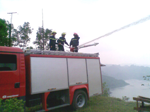 Lực lượng chữa cháy chuyên nghiệp triển khai phương án chữa cháy đồi cây.