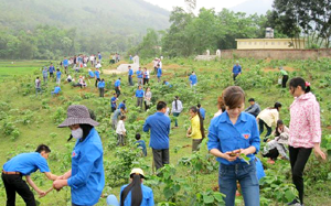 ĐVTN liên chi Đoàn Đảng, Đoàn Thể - Chính Quyền huyện Kim Bôi trồng Vườn cây Thanh niên tại xã Kim Tiến.