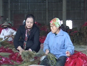 Công ty TNHH Minh Thắng, xã Mông Hoá huyện Kỳ Sơn đào tạo nghề chổi chít và tạo việc làm cho nhiều lao động địa phương.