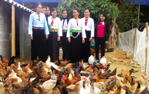 Hội viên PN chi hội xóm Phung 2, xã Ngọc Mỹ (Tân Lạc)  thăm quan, học tập mô hình nuôi gà thả vườn của gia đình chị Bùi Thị Thúy. ảnh: p.v