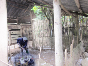 Hộ dân xã Tây Phong (Cao Phong) thường xuyên vệ sinh, quét dọn, rắc vôi bột quanh khu vực chuồng nuôi để phòng bệnh cho gia cầm.

