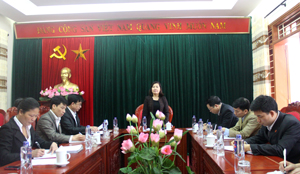 Đồng chí Hoàng Thị Chiển – UV BTV, Trưởng Ban Dân vận Tỉnh ủy phát biểu kết luận buổi làm việc.

