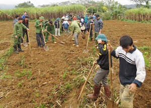 ĐV-TN tham gia đào rạch mía giúp gia đình chính sách tại xã Bắc Phong.