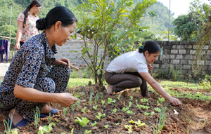 Hội viên PN xã Địch Giáo (Tân Lạc) thành lập các nhóm PN giúp nhau phát triển kinh tế hiệu quả, thiết thực. ảnh: Hội viên PN xóm Kha thăm mô hình trồng rau sạch của gia đình hội viên Bùi Thị Căm.

