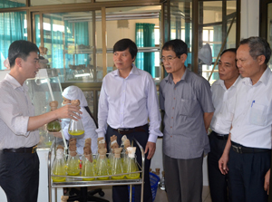 Đồng chí Trần Đăng Ninh, Phó Bí thư TT Tỉnh uỷ cùng các đồng chí trong đoàn công tác thăm quan quá trình sản xuất giống bằng phương pháp nuôi cấy mô tại Công ty TNHH MTV Lâm nghiệp Hòa Bình.