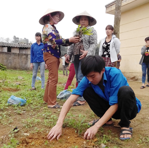 Đoàn thanh niên xã Phú Thành trồng 2.000 cây keo tại chi trường tiểu học xã Phú Thành.

