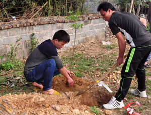 Người dân xã Đông Bắc (Kim Bôi) trồng cây xanh tạo bóng mát trong khuôn viên các nhà trường, nhà văn hoá, trạm y tế.