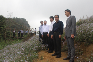 Đồng chí Nguyễn Văn Quang, Chủ tịch UBND tỉnh cùng đoàn công tác khảo sát thực tế tại đảo Thung – xã Tiền Phong – huyện Đà Bắc.