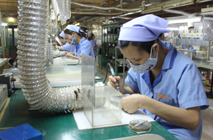 Công ty TNHH Sanko Việt Nam, phường Hữu Nghị (TP Hòa Bình)  100% vốn đầu tư Nhật Bản là một trong những  đơn vị thực hiện tốt công tác ATVSLĐ.
