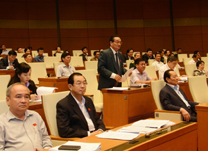 Đại biểu Quốc hội TP Hồ Chí Minh phát biểu ý kiến tại hội trường.