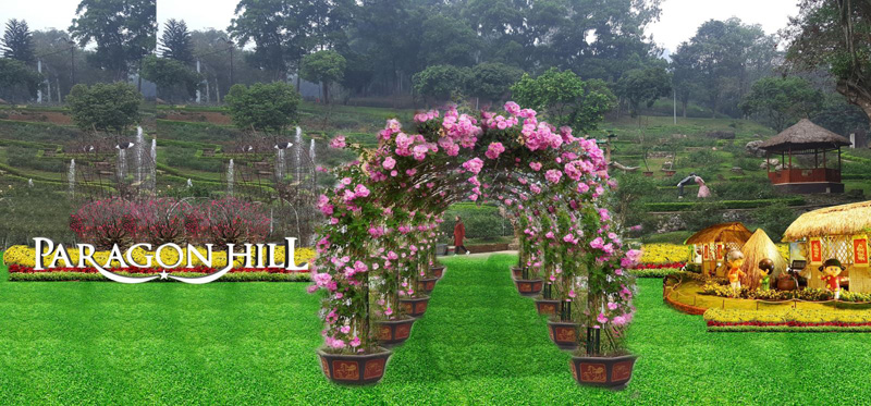 Khám phá Những vườn hoa đẹp nhất Việt Nam Tuyệt đẹp và ấn tượng