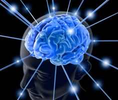Trong não phải của con người tồn tại một “nam châm đạo đức”.