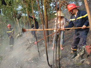Lực lượng CS PCCC (Công an tỉnh) tham gia chữa cháy rừng.