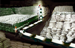 Hiện đại hóa kho chứa lương thực là khâu quan trọng trong sản xuất lúa hiện nay.