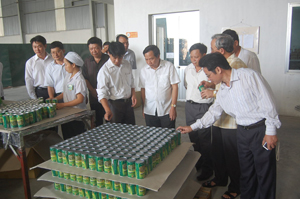Thường trực HĐND tỉnh và các ban của HĐND tỉnh kiểm tra, giám sát tình hình thu hút đầu tư tại KCN Lương Sơn.