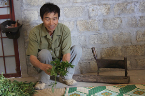 Vườn thuốc nam của ông Bùi Việt Hùng là nơi bảo tồn nhiều loài cây thuốc quý hiếm.
