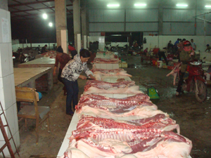 Hiện nay, thành phố Hòa Bình mới đưa được 70% hộ giết mổ gia súc nhỏ lẻ vào lò giết mổ tập trung đảm bảo điều kiện về vệ sinh thú y và VSATTP.