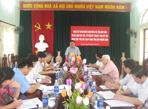 Đ/c Đinh Duy Sơn – Phó Chủ tịch HĐND tỉnh, Phó chủ tịch TT UBBC tỉnh phát biểu kết luận buổi làm việc.