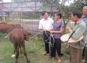 Hội Bảo trợ NTT và TMC tỉnh trao tặng bò sinh sản cho hộ khuyết tật xã Đồng Tâm (Lạc Thủy).