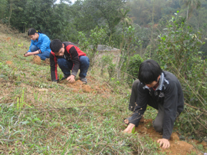 ĐV-TN xã Yên Lạc (Yên Thủy) tham gia trồng cây bảo vệ môi trường.