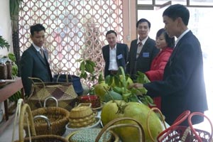Gian hàng trưng bày các sản phẩm của nông dân các xã tại Đại hội HND TPHB  lần thứ VIII vừa qua.