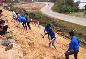 ĐVTN phường Tân Hoà phối hợp với Công ty cổ phần môi trường đô thị Hòa Bình, các đoàn phường lân cận trồng 2.000 cây keo tại bãi rác dốc Búng (thành phố Hoà Bình).