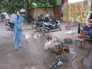 Thành phố Hòa Bình tổ chức phun tiêu độc khử trùng tại các điểm kinh doanh, giết mổ gia cầm để phòng cúm A/H5N1, H1N1 (Ảnh chụp tại chợ Phương Lâm).
  
