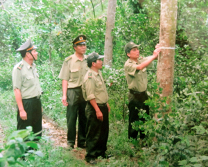 Lực lượng kiểm lâm huyện Lương Sơn tiến hành  kiểm tra, đo độ tăng trưởng của cây rừng.