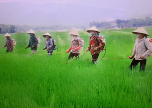 Nông dân xã Dân Hạ (Kỳ Sơn) phòng trừ sâu bệnh cho diện tích lúa xuân.
