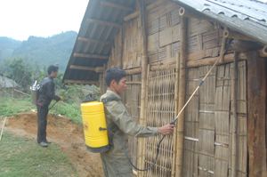 Khu vực trú ẩn của muỗi mang KST sốt rét được phun thuốc diệt trừ (Ảnh tại xóm Cáp, xã Bình Thanh – Cao Phong).