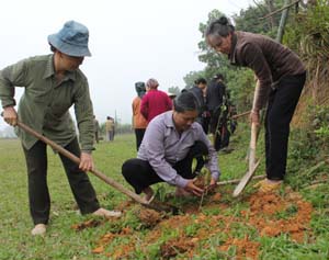 Hội viên NCT xóm Đồng Sông, xã Dân Hạ (Kỳ Sơn) tích cực hưởng ứng Tết trồng cây đời đời nhớ ơn Bác Hồ năm 2013.