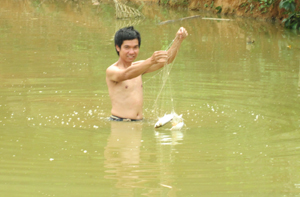Nhân dân xóm Đồi I, xã Bình Chân nuôi các loại cá mang lại hiệu quả kinh tế, từng bước xoá đói - giảm nghèo.