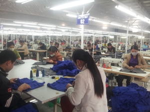 Năm 2013, Công ty may Việt - Hàn tại xã Đông Lai (Tân Lạc) tạo việc làm cho khoảng 300 lao động địa phương.