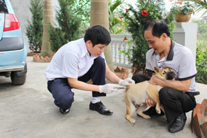 Các chủ nuôi trên địa bàn phường Tân Thịnh (TPHB) chấp hành tiêm vắcxin phòng dại đợt 1/2014 cho chó, mèo.