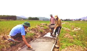 Nhân dân thôn Đồng Phú, xã Đồng Tâm (Lạc Thủy) hiến đất ruộng và huy động ngày công làm đường giao thông nội đồng, phục vụ sản xuất.

