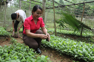 Nhiều hội viên phụ nữ xã Chí Đạo (Lạc Sơn) vươn lên thoát nghèo do tích cực  chuyển đổi cơ cấu cây trồng, vật nuôi, góp phần chung sức xây dựng NTM.