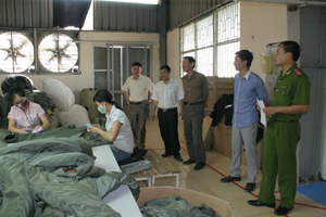 Đoàn kiểm tra thực tế tại Công ty CP May xuất nhập khẩu SMA VINA Việt Hàn.

