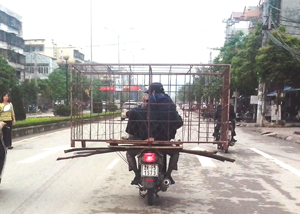 Chiếc xe máy  loạng choạng  trên đại lộ  Thịnh Lang (TPHB)  vì chở chiếc lồng sắt  và 1 người  ngồi trong lồng.  Ảnh chụp ngày 28/3.  Ảnh V.L