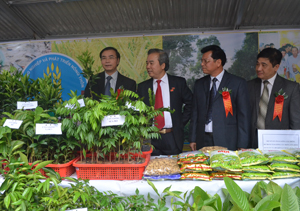 Trong khuôn khổ hội nghị, các đại biểu thăm quan gian trưng bày các sản phẩm nông sản nổi bật của ngành NN&PTNT.