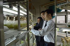 Đồng chí Hoàng Văn Tứ, Phó Chủ tịch HĐND tỉnh cùng các thành viên đoàn công tác tìm hiểu công nghệ nuôi cấy mô tế bào tại Công ty TNHH MTV lâm nghiệp Hoà Bình.

