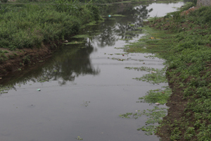 Dòng suối Mát, phường Chăm Mát (TPHB) bị nhiễm bẩn bởi rác thải sinh hoạt không được nạo vét thường xuyên gây ô nhiễm nguồn nước.  ảnh: p.v