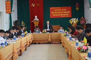 Đồng chí Nguyễn Văn Toàn, UV BTV, Trường Ban Tuyên giáo Tỉnh ủy, Trưởng Ban VH-XH&DT phát biểu ý kiến tại buổi giám sát.

