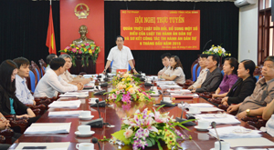 Đồng chí Nguyễn Văn Quang, Chủ tịch UBND tỉnh, Trưởng Ban chỉ đạo THADS tỉnh chủ trì, phát biểu ý kiến tại điểm cầu tỉnh ta.