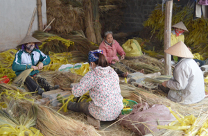 Cơ sở sản xuất chổi chít ở xã Hợp Thịnh (Kỳ Sơn) thu hút hơn 10 lao động với mức thu nhập bình quân 2 triệu đồng /người/tháng. 

