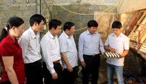Phó Bí thư TT Tỉnh uỷ Trần Đăng Ninh  đã thăm cơ sở sản xuất giống và chăn nuôi gà bản địa của đoàn viên Bùi Văn Huế tại xóm Đảng I, xã Chí Thiện (Lạc Sơn).