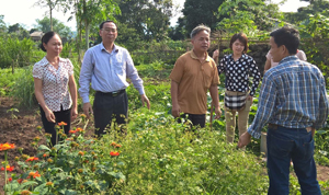 Đoàn công tác đến thăm mô hình trồng rau theo phương pháp nông nghiệp hữu cơ tại xã Cư Yên (Lương Sơn).